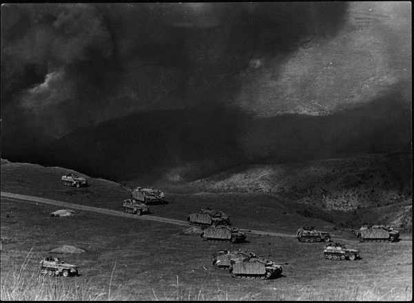 German armoured personnel carriers and assult guns (note armoured skirts) rumble forward at the Battle of Kursk